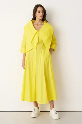 Alimia Elbise - Sarı - 2