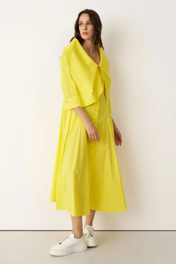 Alimia Elbise - Sarı - 3
