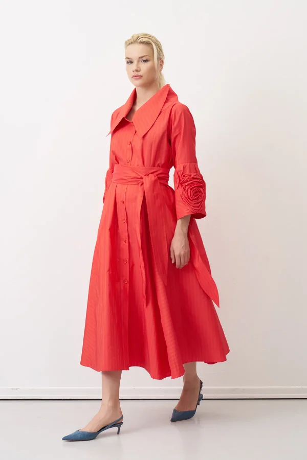 Kırmızı Kolu Güllü Uzun Çizgili Roumeli Elbise - 3