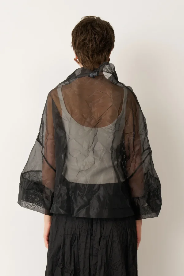 Siyah Transparan Organze Ftane Bluz - 5